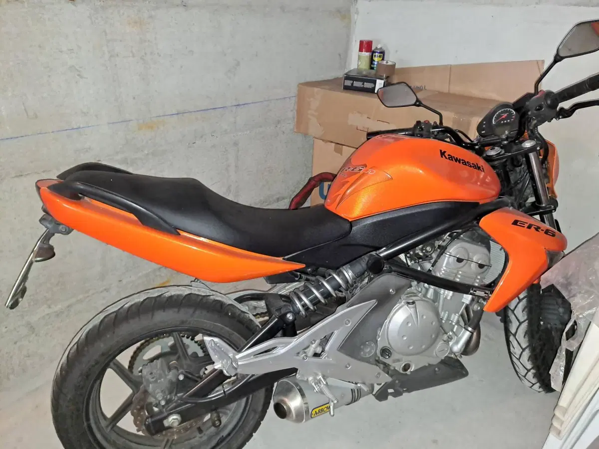Kawasaki ER-6N (2006 - 09) (2)