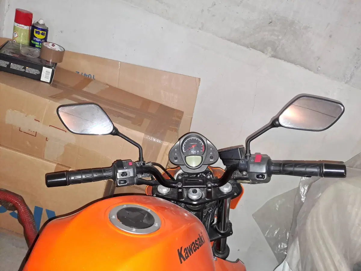 Kawasaki ER-6N (2006 - 09) (3)