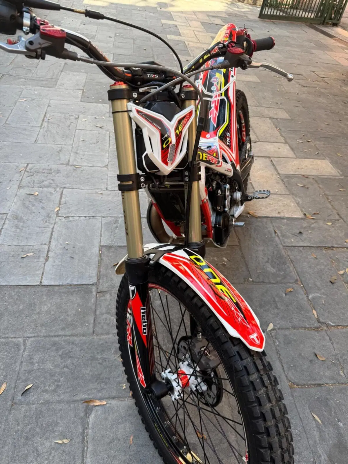 TRS Motorcycles One 300 AE (2022 - 23) (2)