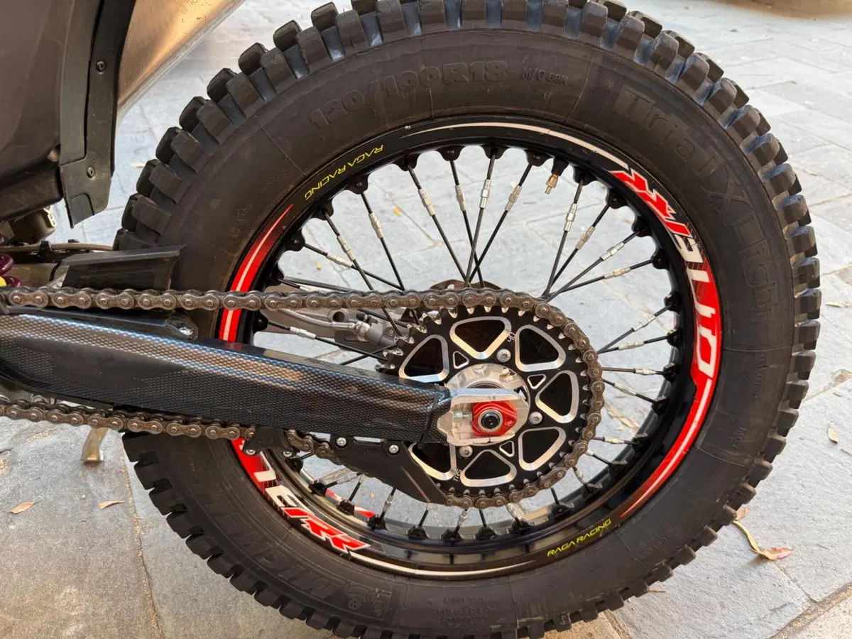 TRS Motorcycles One 300 AE (2022 - 23) (9)