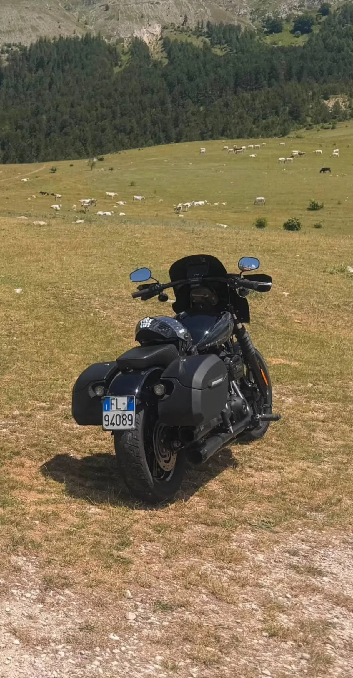 Harley-Davidson Street Bob 114 (2021 - 24) (3)