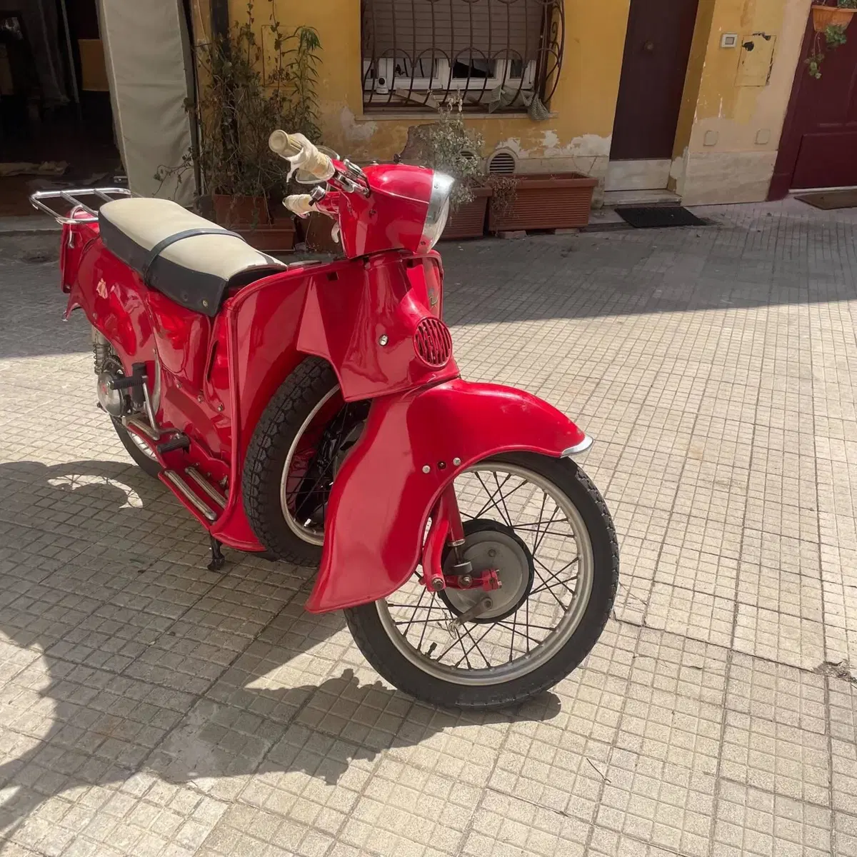 Moto Guzzi galletto 192 (3)