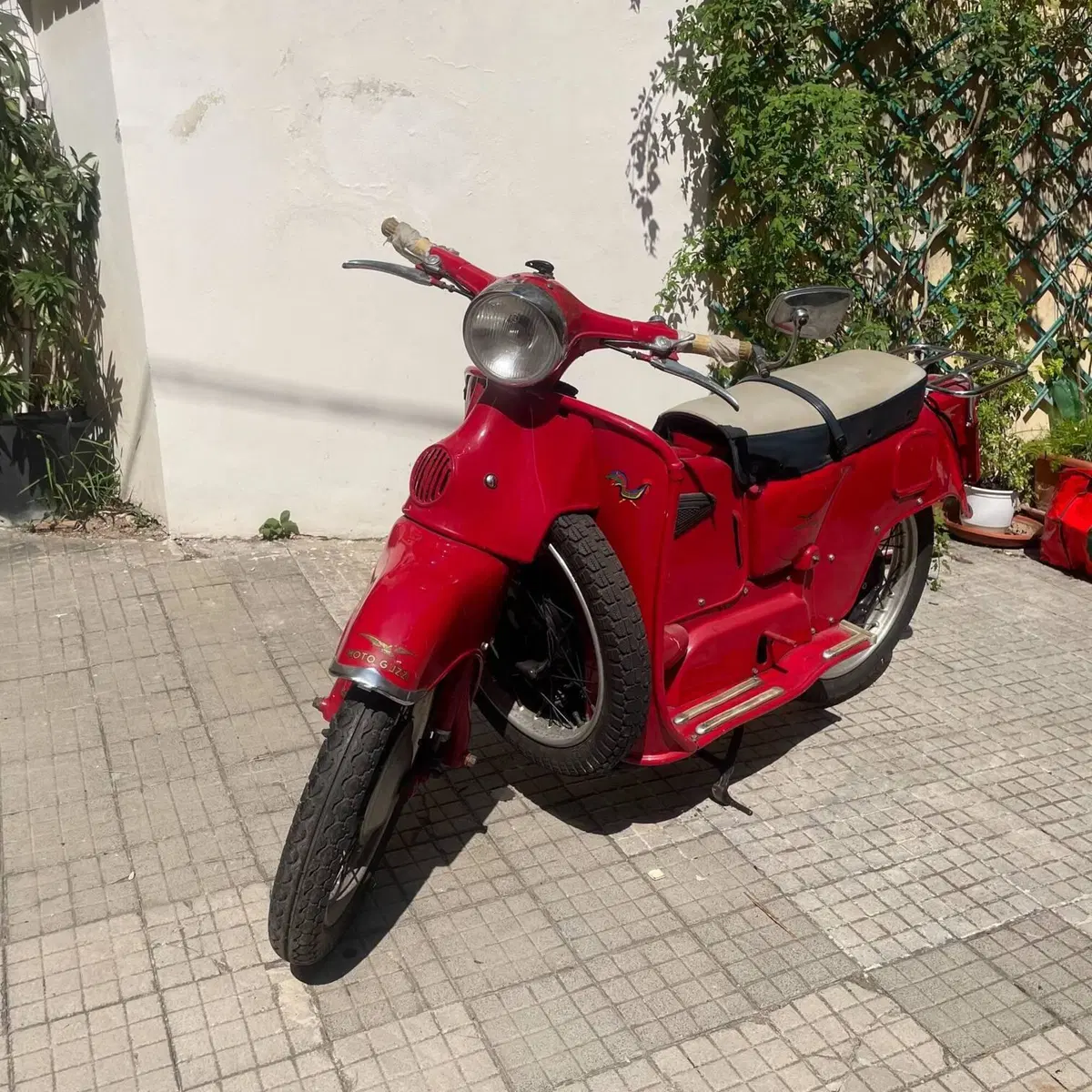 Moto Guzzi galletto 192 (4)