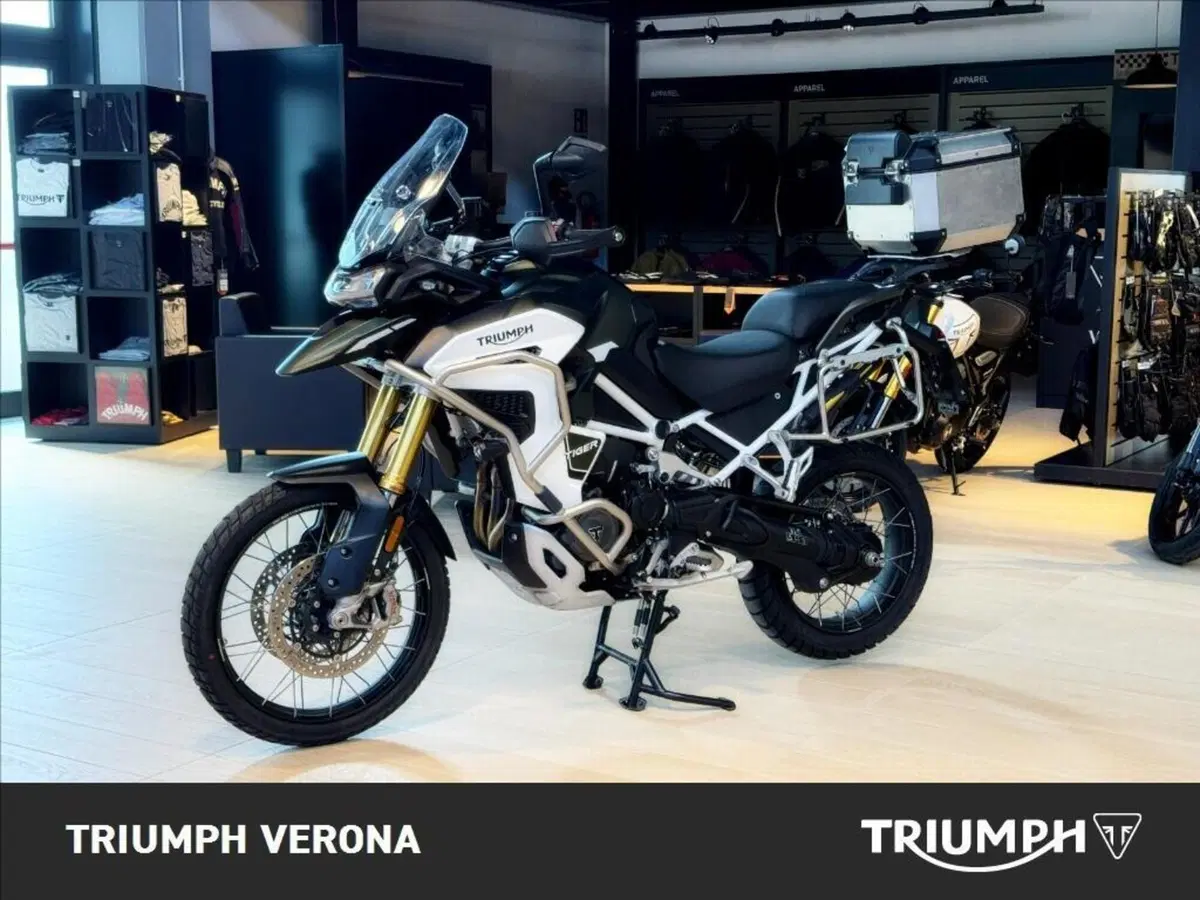 Triumph Tiger 1200 Rally Explorer (2024 - 26) (5)