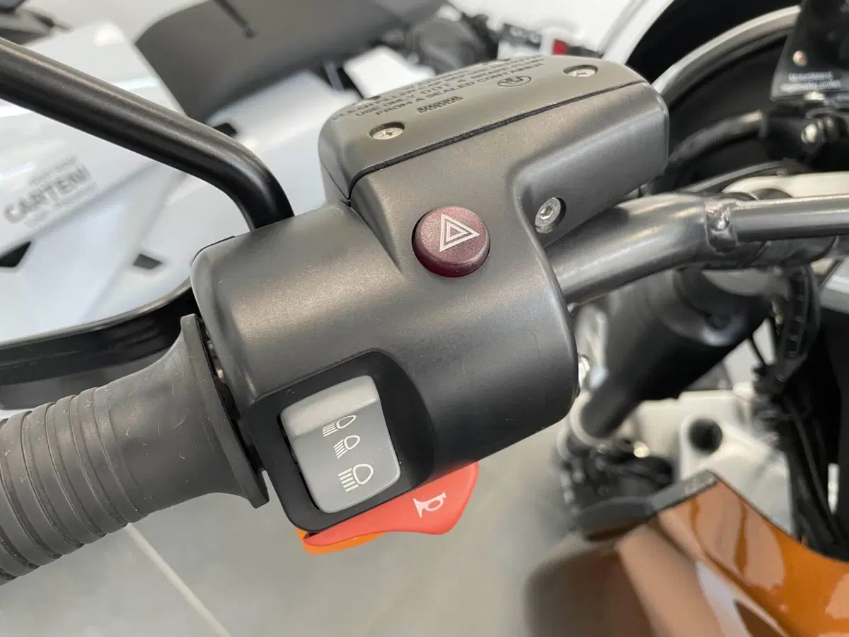 Bmw R 1150 GS (1999 - 03) (9)