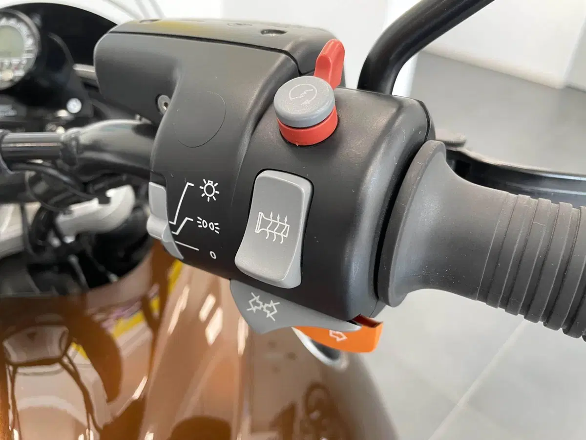 Bmw R 1150 GS (1999 - 03) (10)