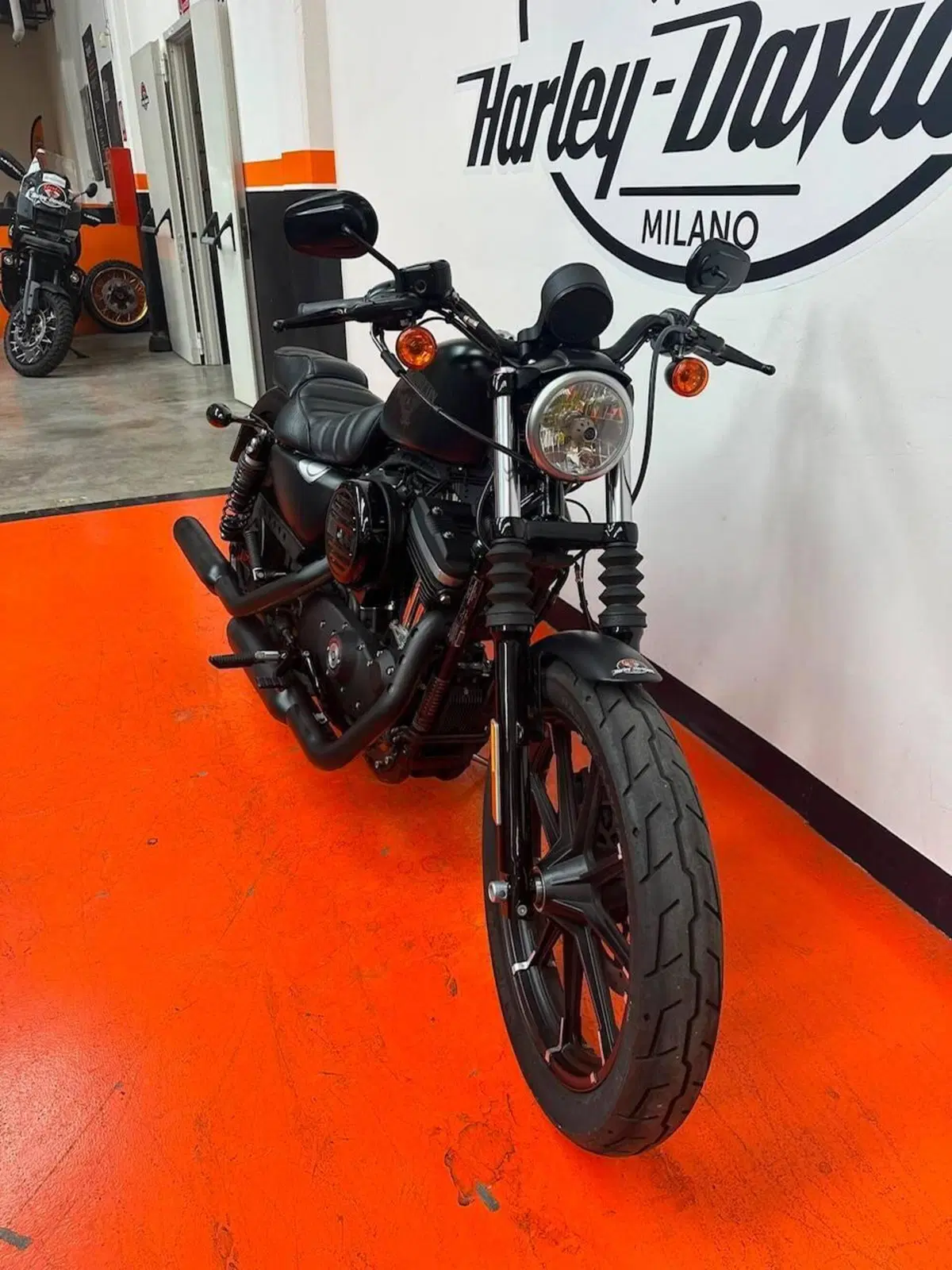 Harley-Davidson 883 Iron (2017 - 20) - XL 883N (3)