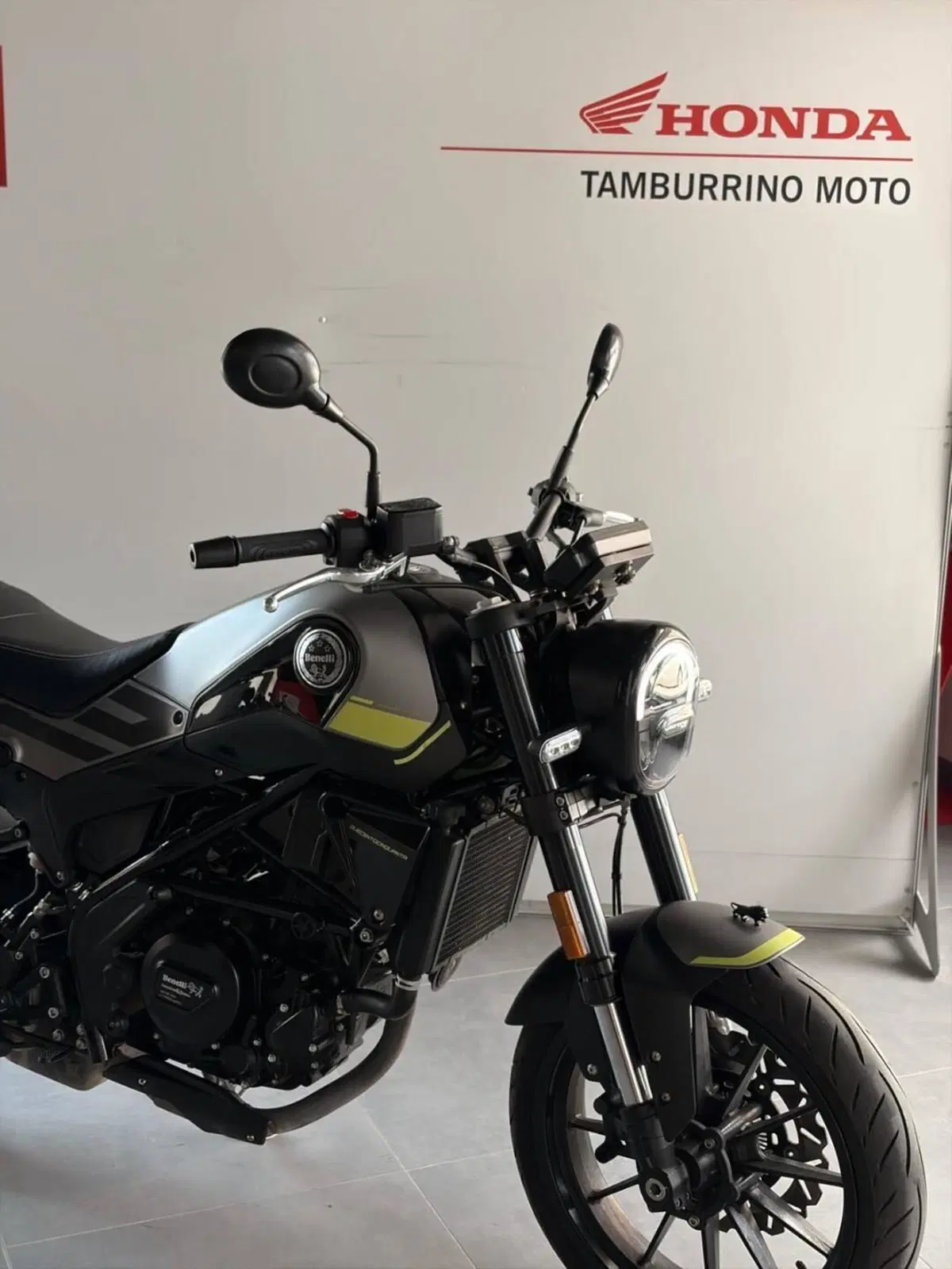Benelli Leoncino 250 (2019 - 20) (2)