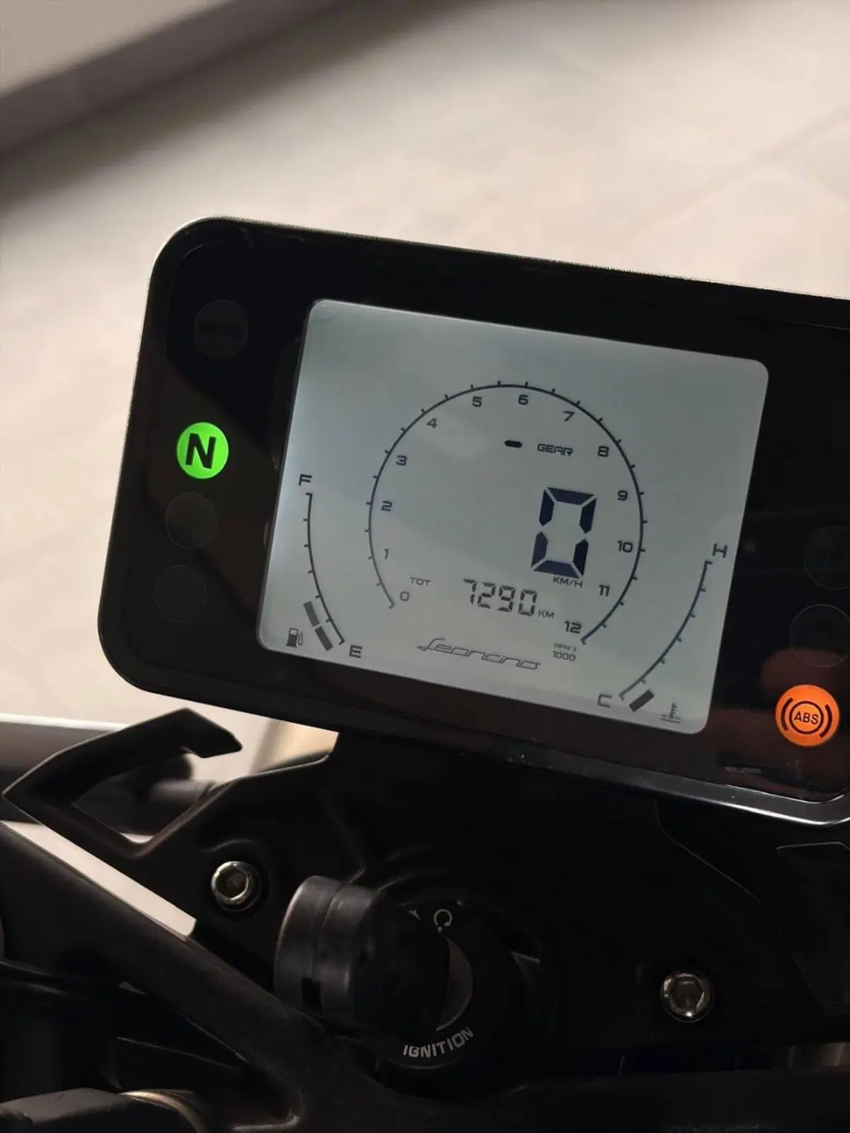 Benelli Leoncino 250 (2019 - 20) (4)