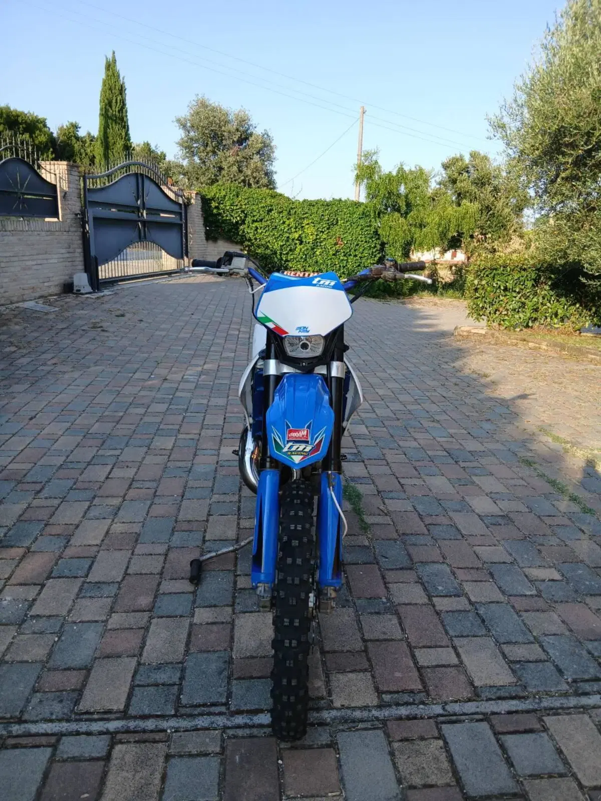 Tm Moto EN 125 (2015) (3)