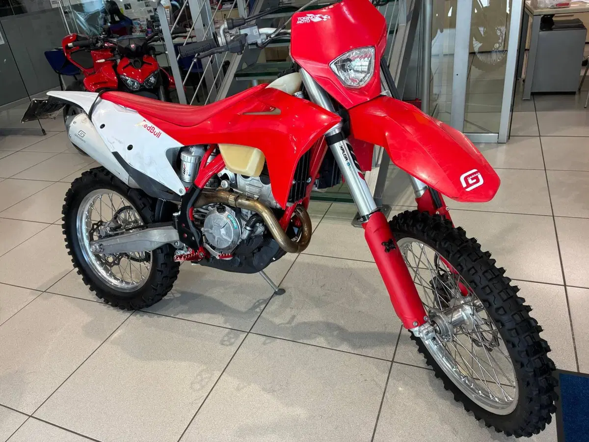 GASGAS EC 250 F (2021) (2)