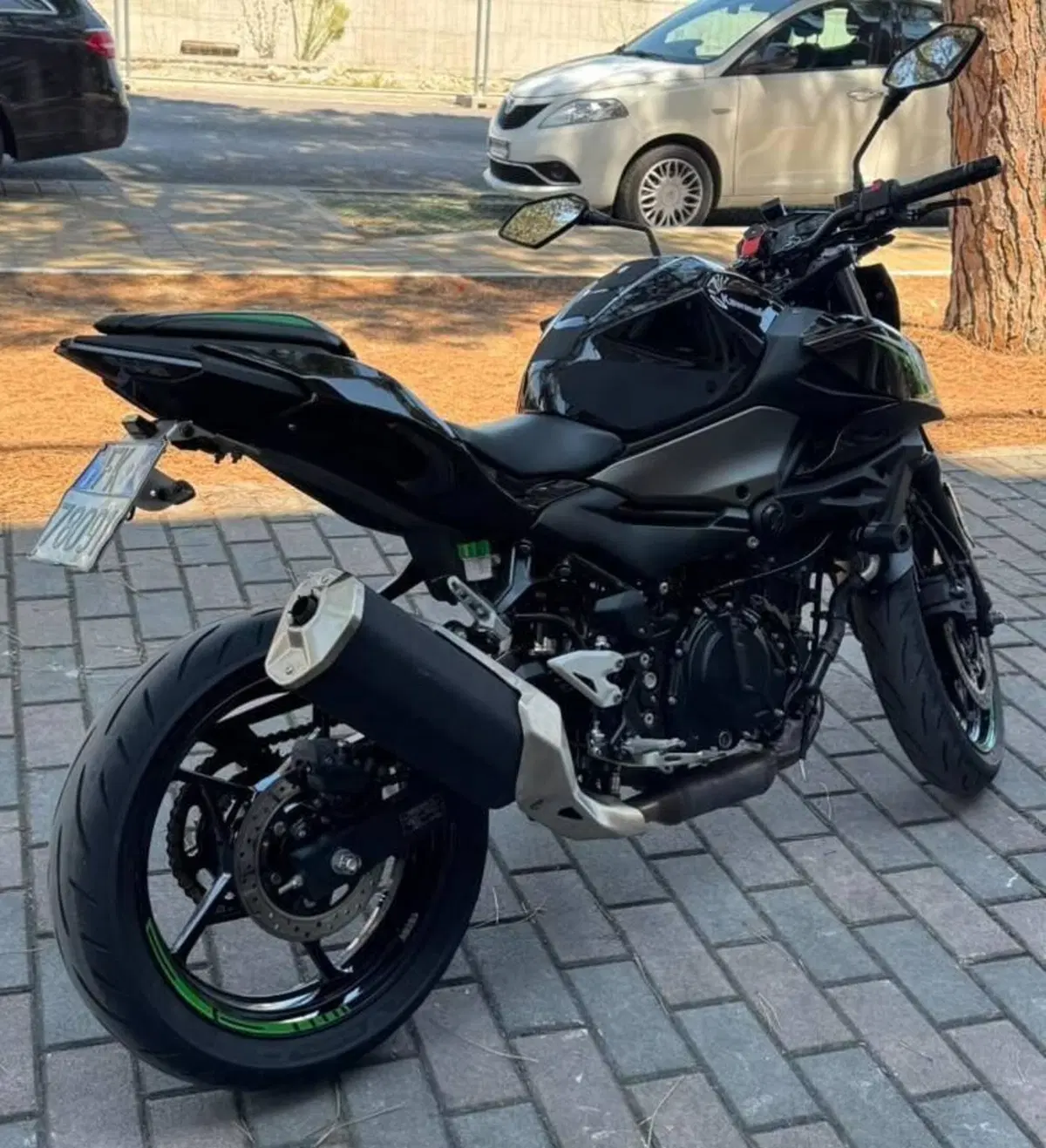Kawasaki Z 500 (2024 - 26) (3)