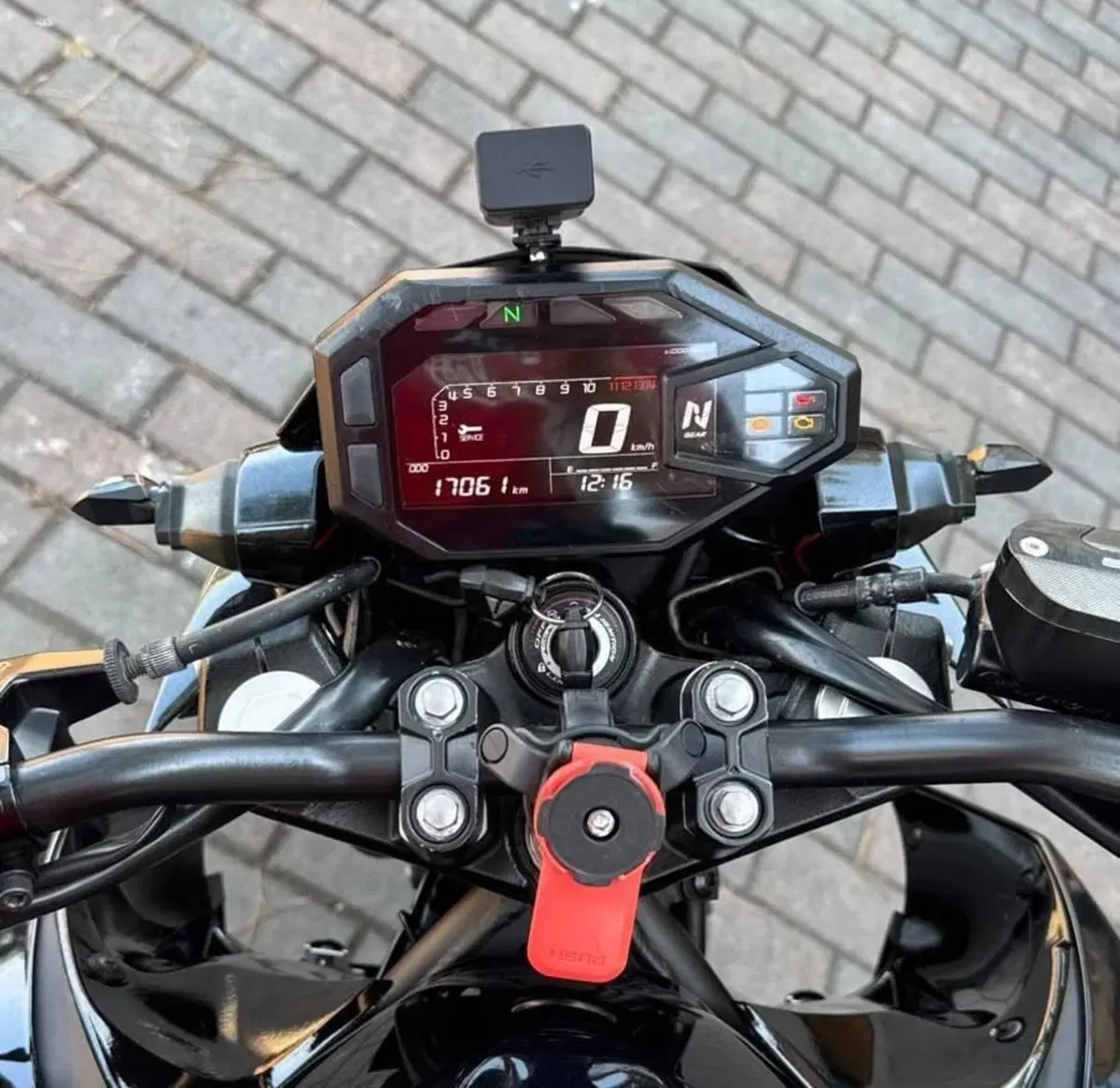 Kawasaki Z 500 (2024 - 26) (5)