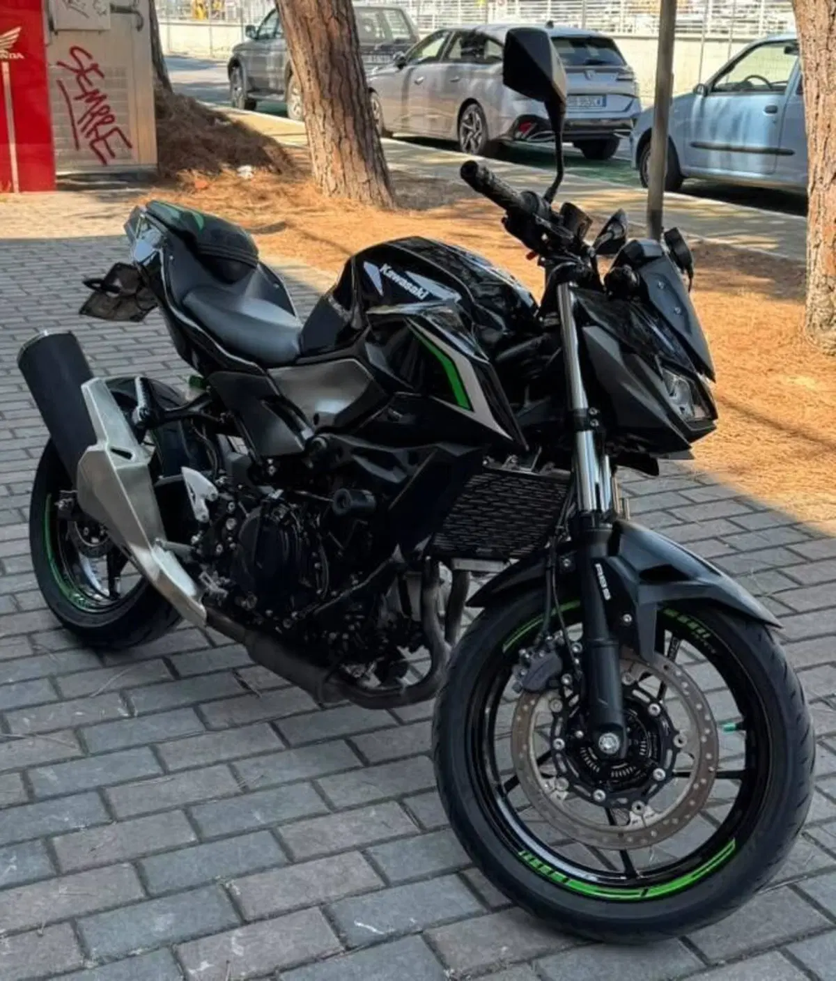 Kawasaki Z 500 (2024 - 26) (2)