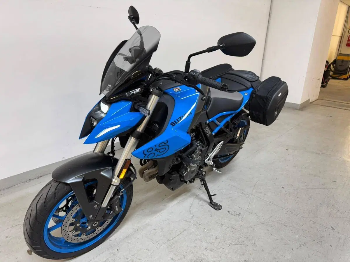 Suzuki GSX-8S (2023 - 24) (2)