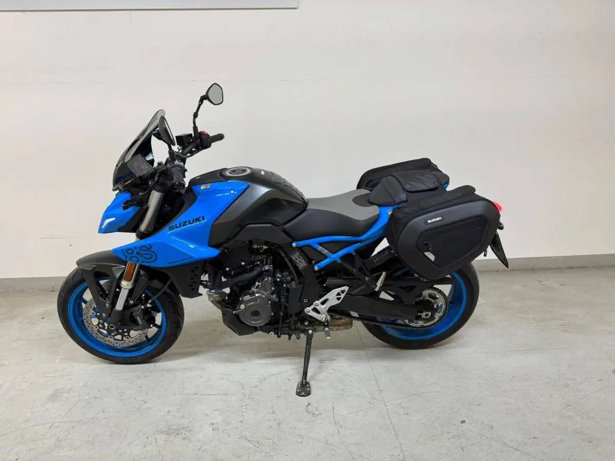 Suzuki GSX-8S (2023 - 24) (5)