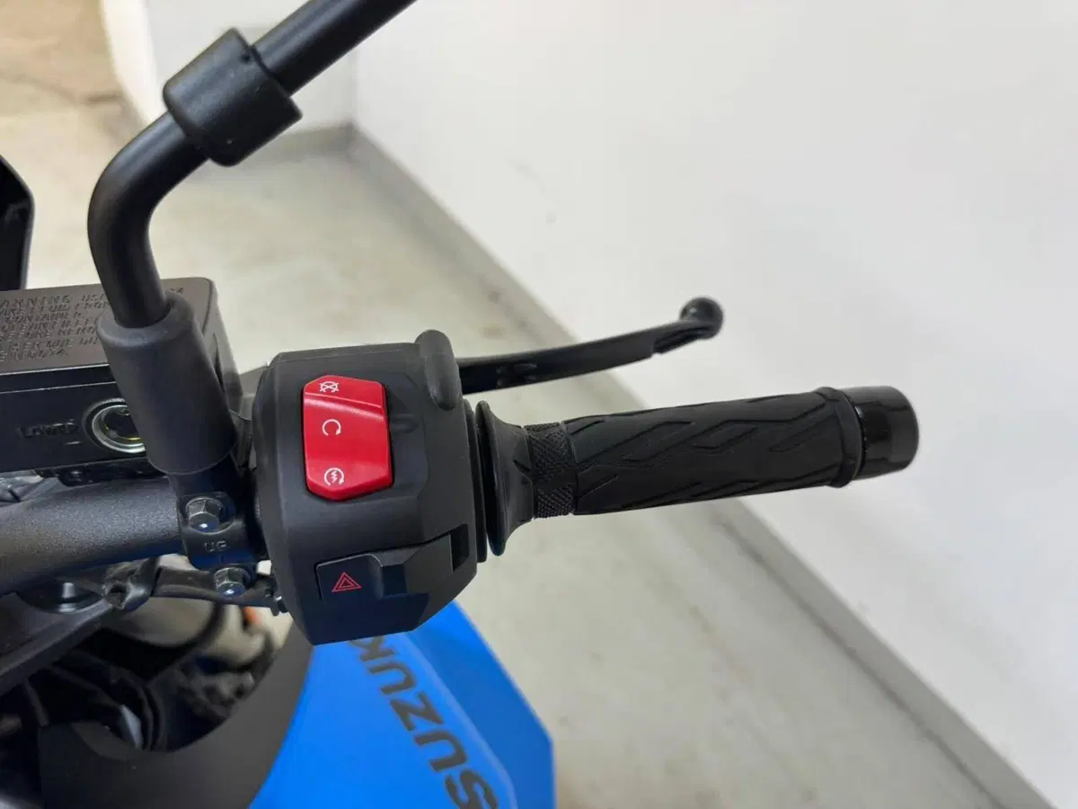 Suzuki GSX-8S (2023 - 24) (12)