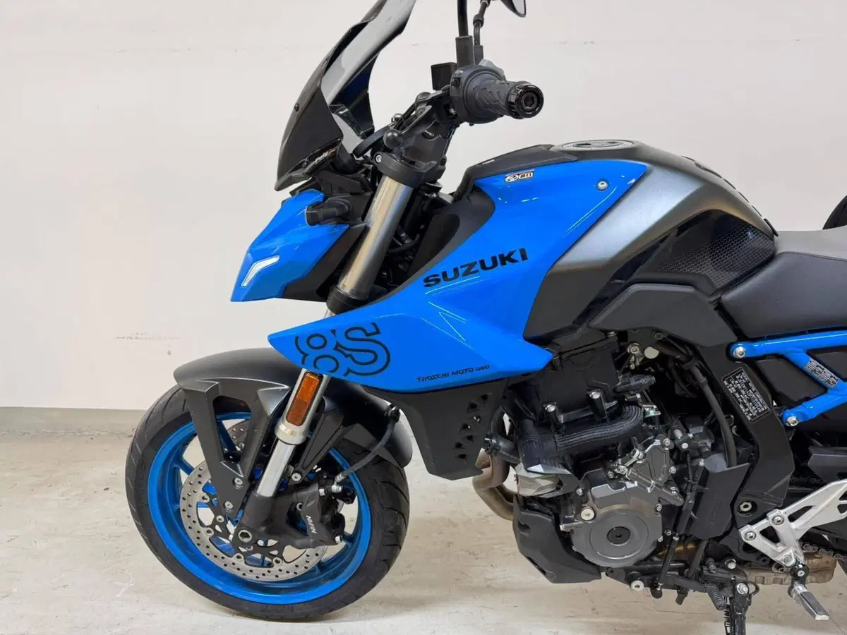 Suzuki GSX-8S (2023 - 24) (13)