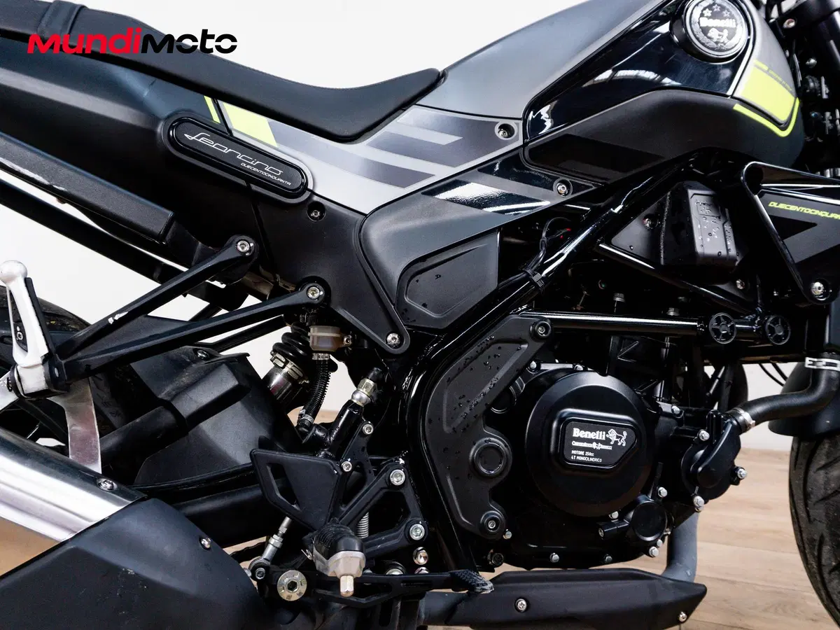 Benelli Leoncino 250 (2019 - 20) (4)