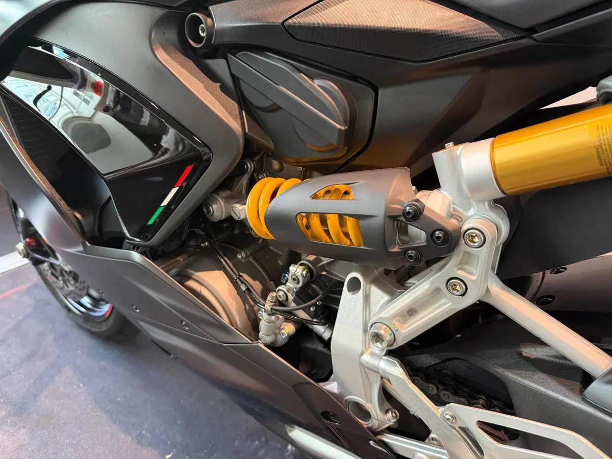 Ducati Panigale V2 (2021 - 24) (10)
