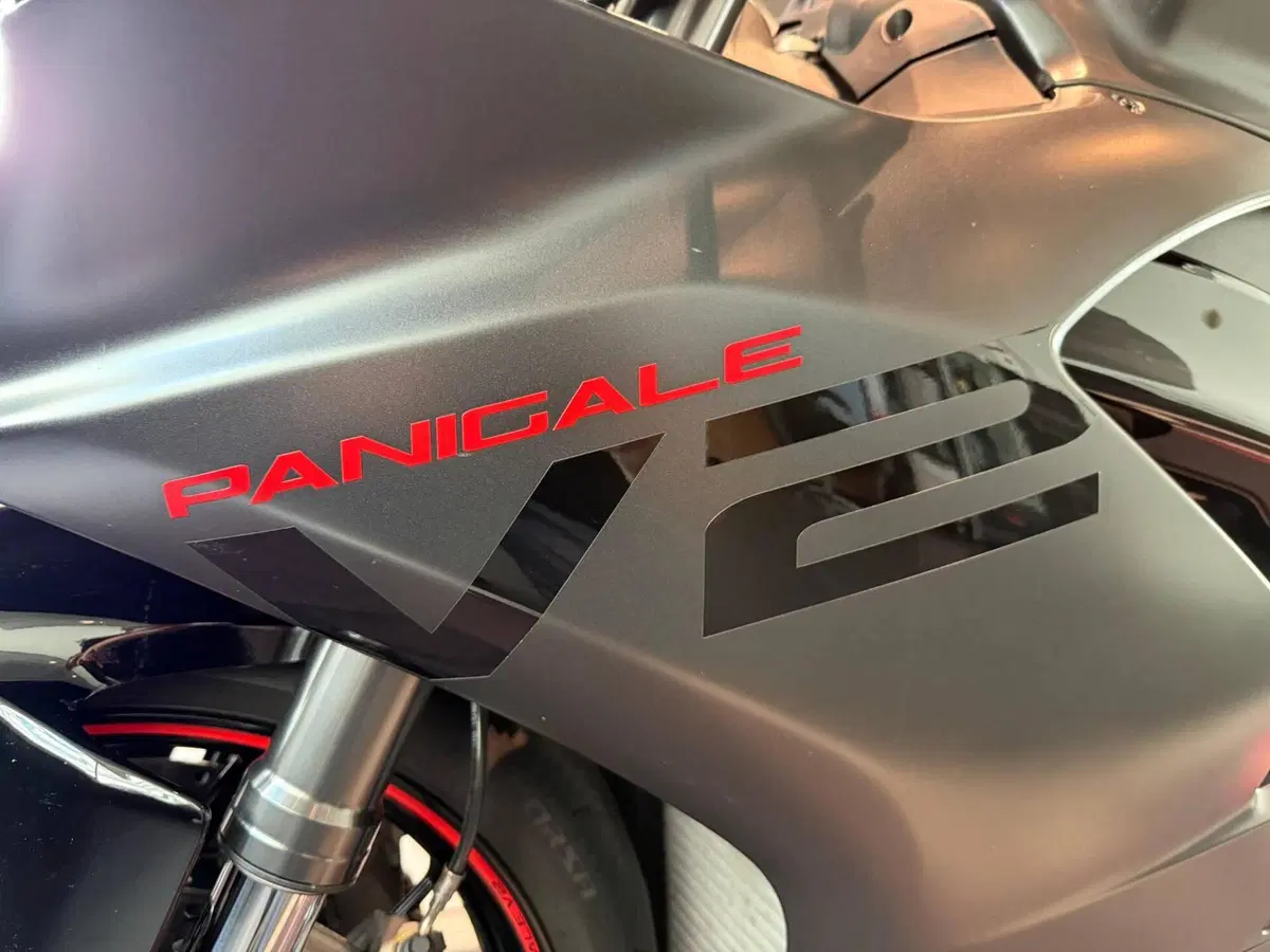 Ducati Panigale V2 (2021 - 24) (11)