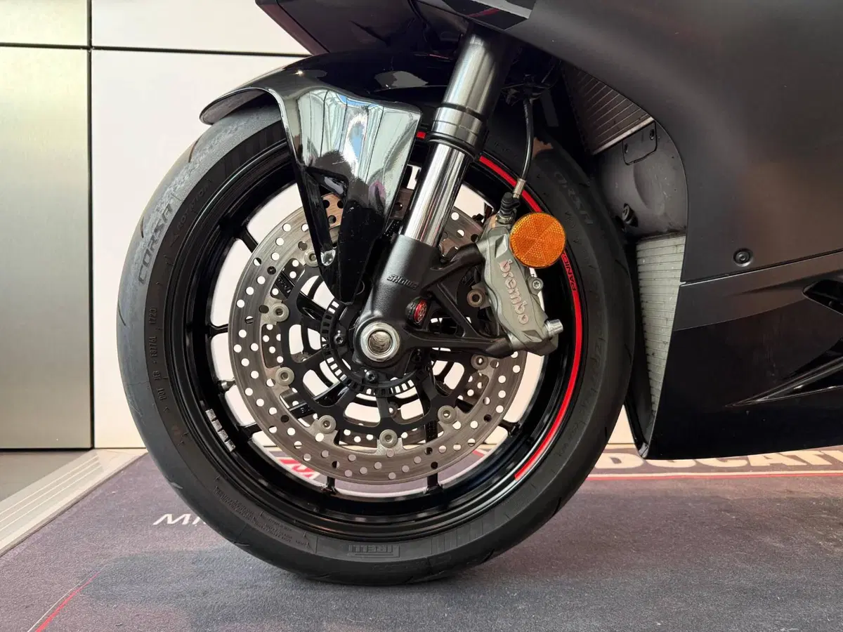 Ducati Panigale V2 (2021 - 24) (12)