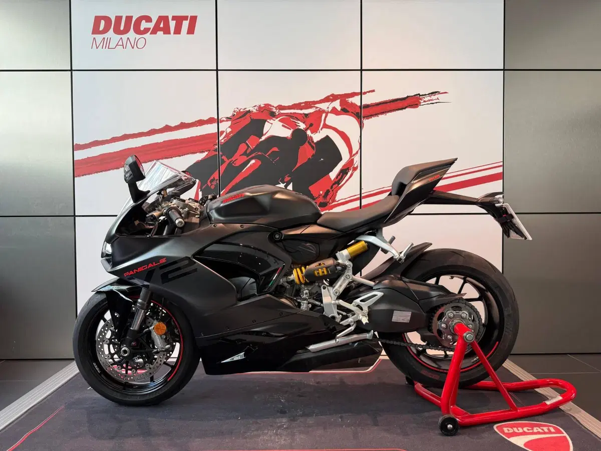Ducati Panigale V2 (2021 - 24) (13)