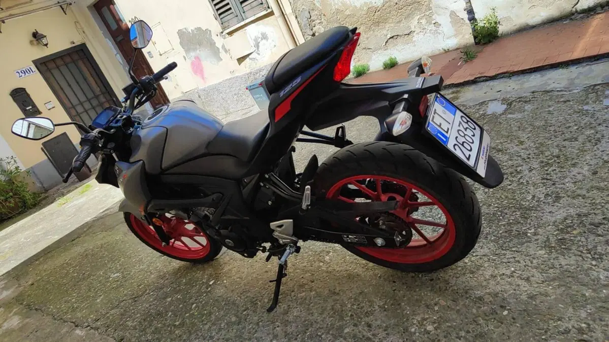 Suzuki GSX-S125 (2017 - 20) (7)