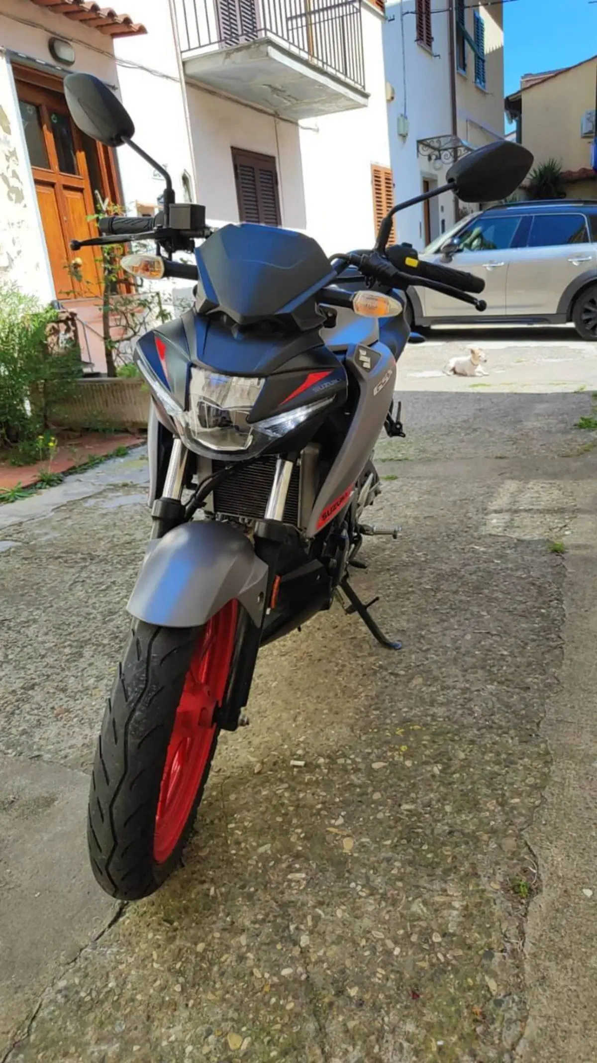 Suzuki GSX-S125 (2017 - 20) (8)