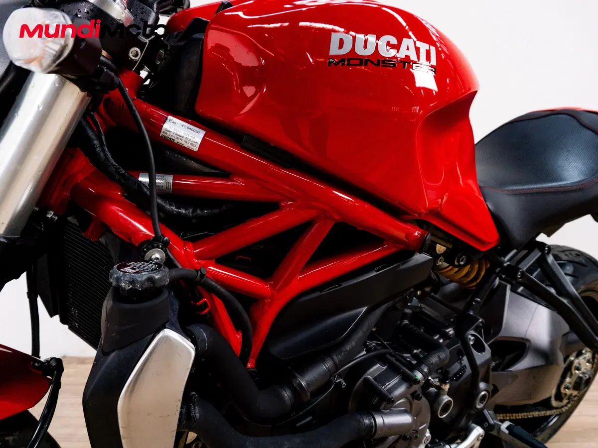 Ducati Monster 1200 (2014 - 16) (9)