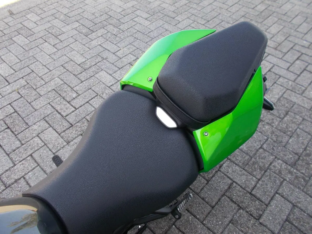 Kawasaki Z 900 (2025 - 26) (4)