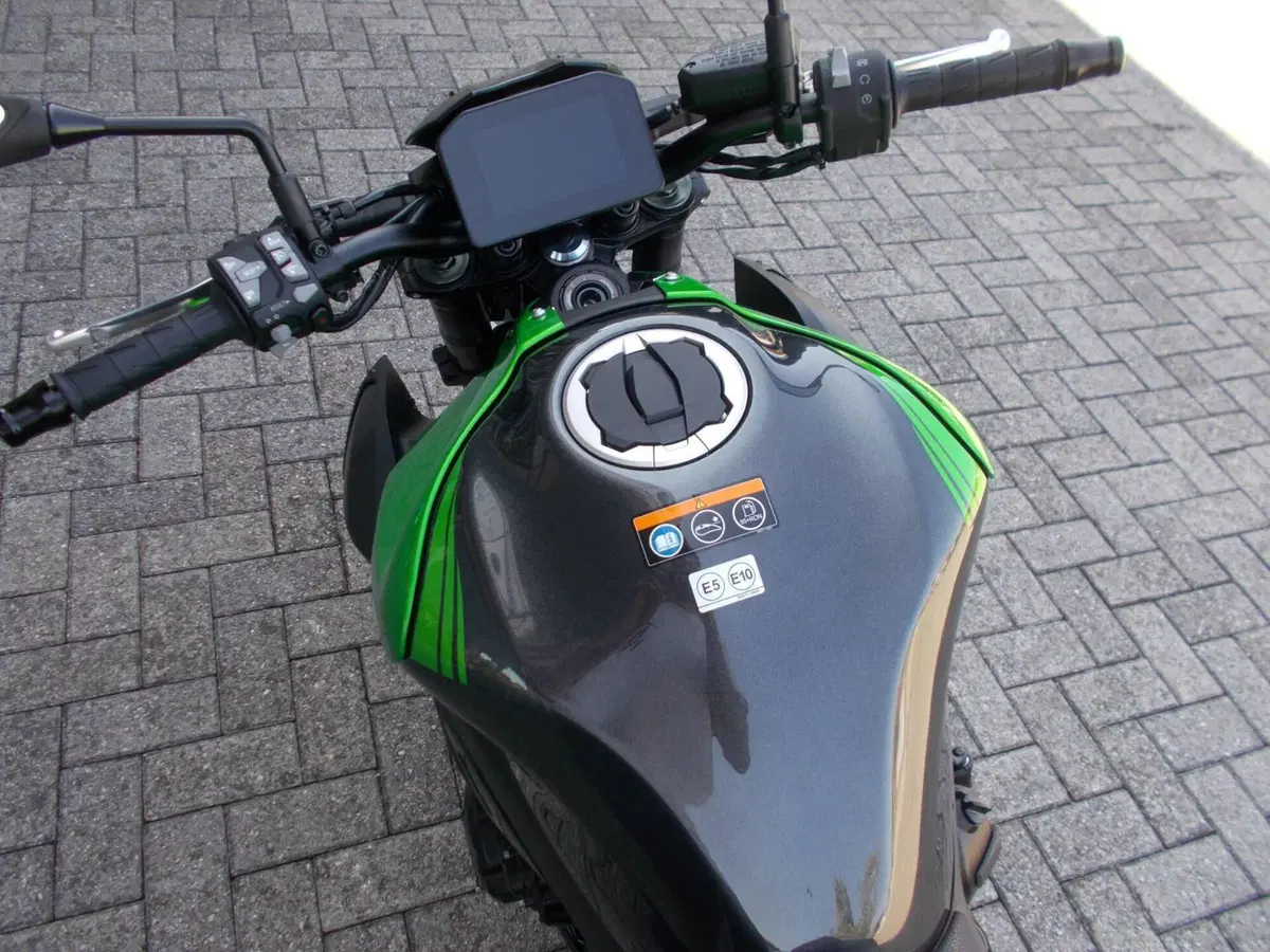 Kawasaki Z 900 (2025 - 26) (5)