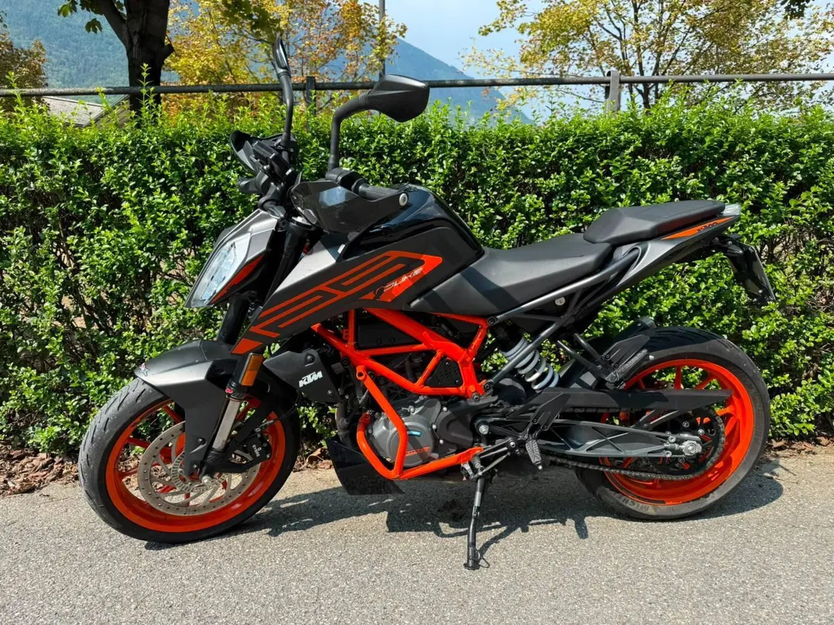 KTM 125 Duke (2021 - 23) (4)