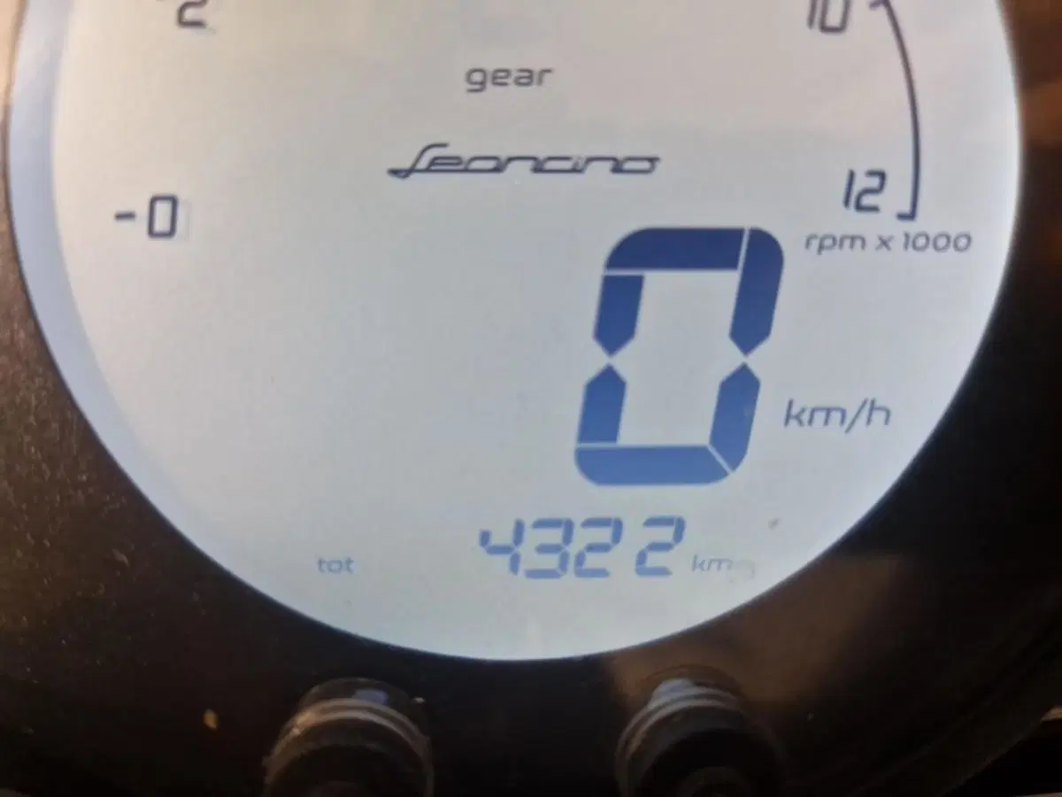 Benelli Leoncino 500 Trail ABS (2017 - 20) (6)