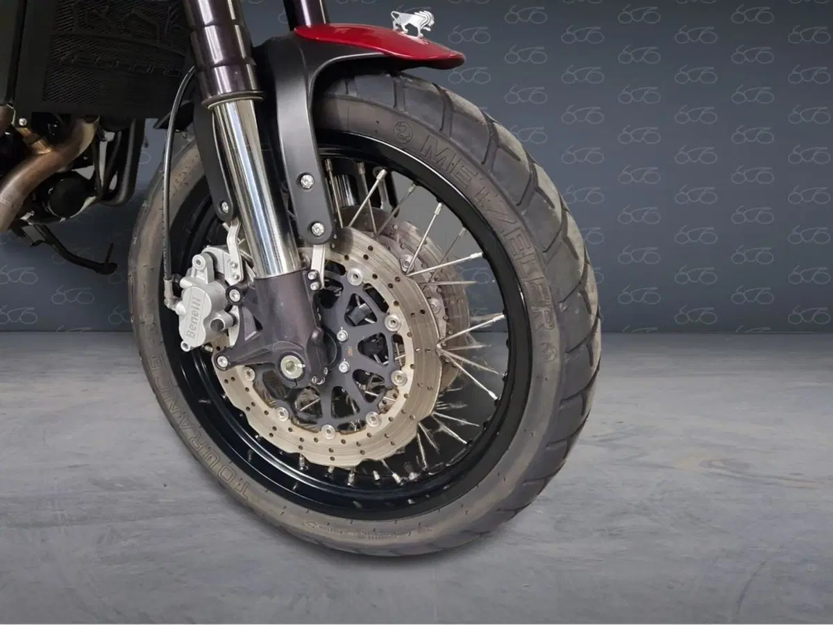 Benelli Leoncino 500 Trail ABS (2017 - 20) (5)