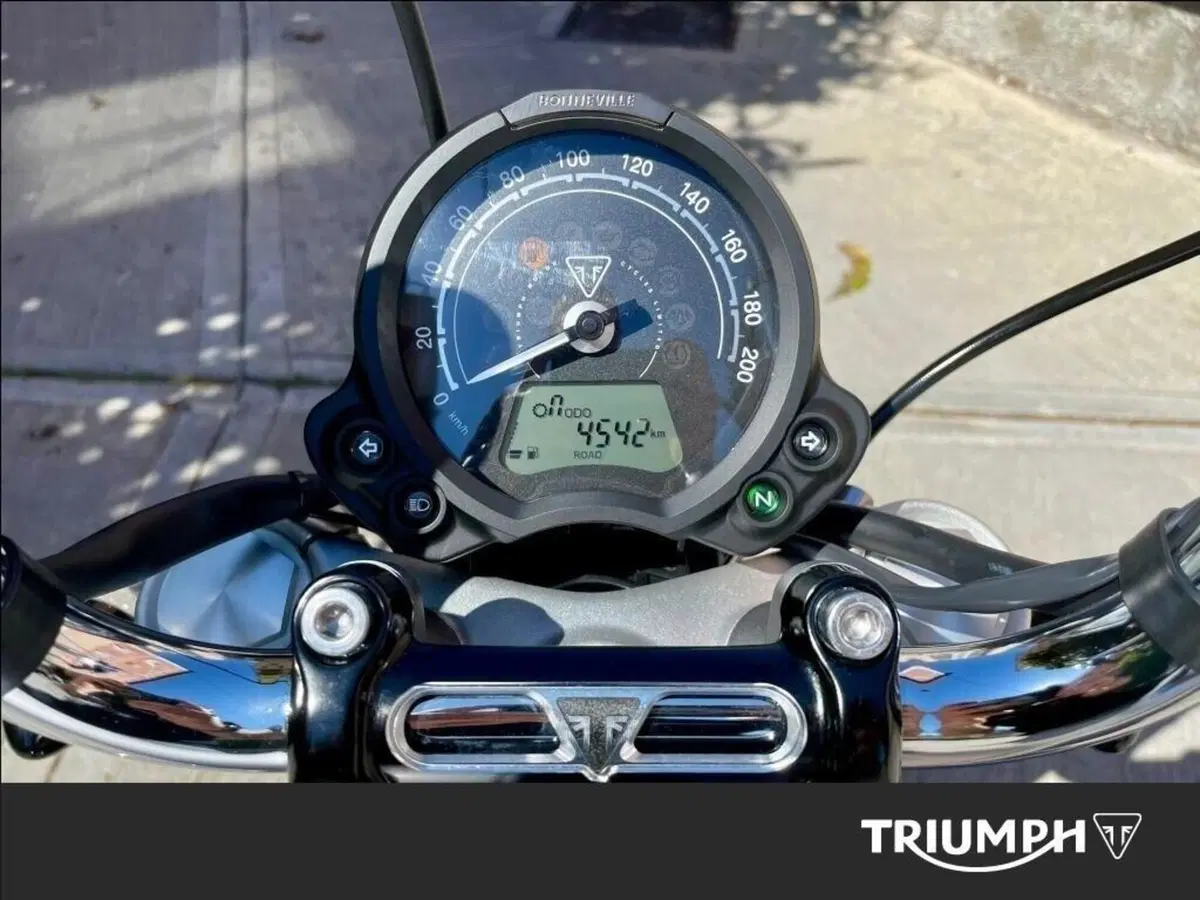 Triumph Bonneville Speedmaster 1200 Icon Edition (2025 - 26) (13)