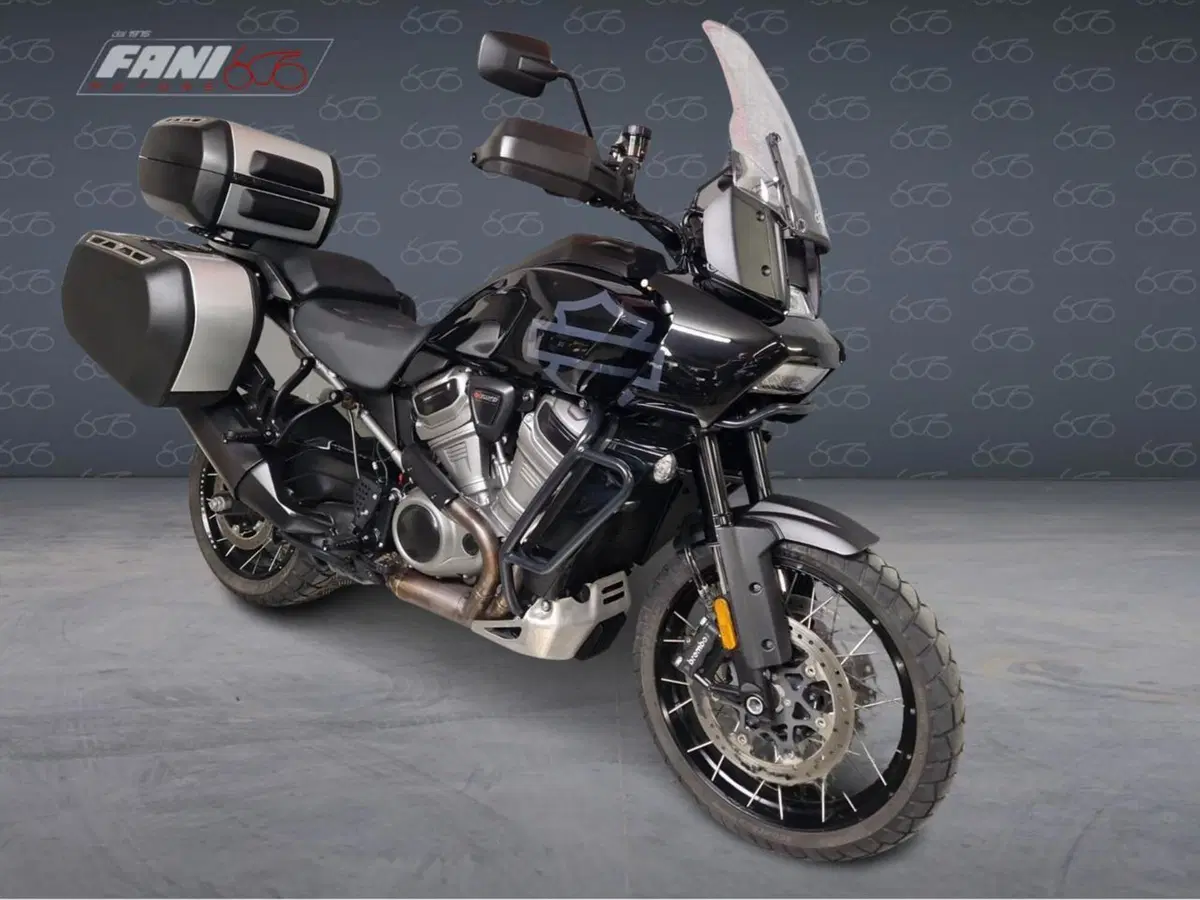 Harley-Davidson Pan America 1250 Special (2020 - 25) (2)