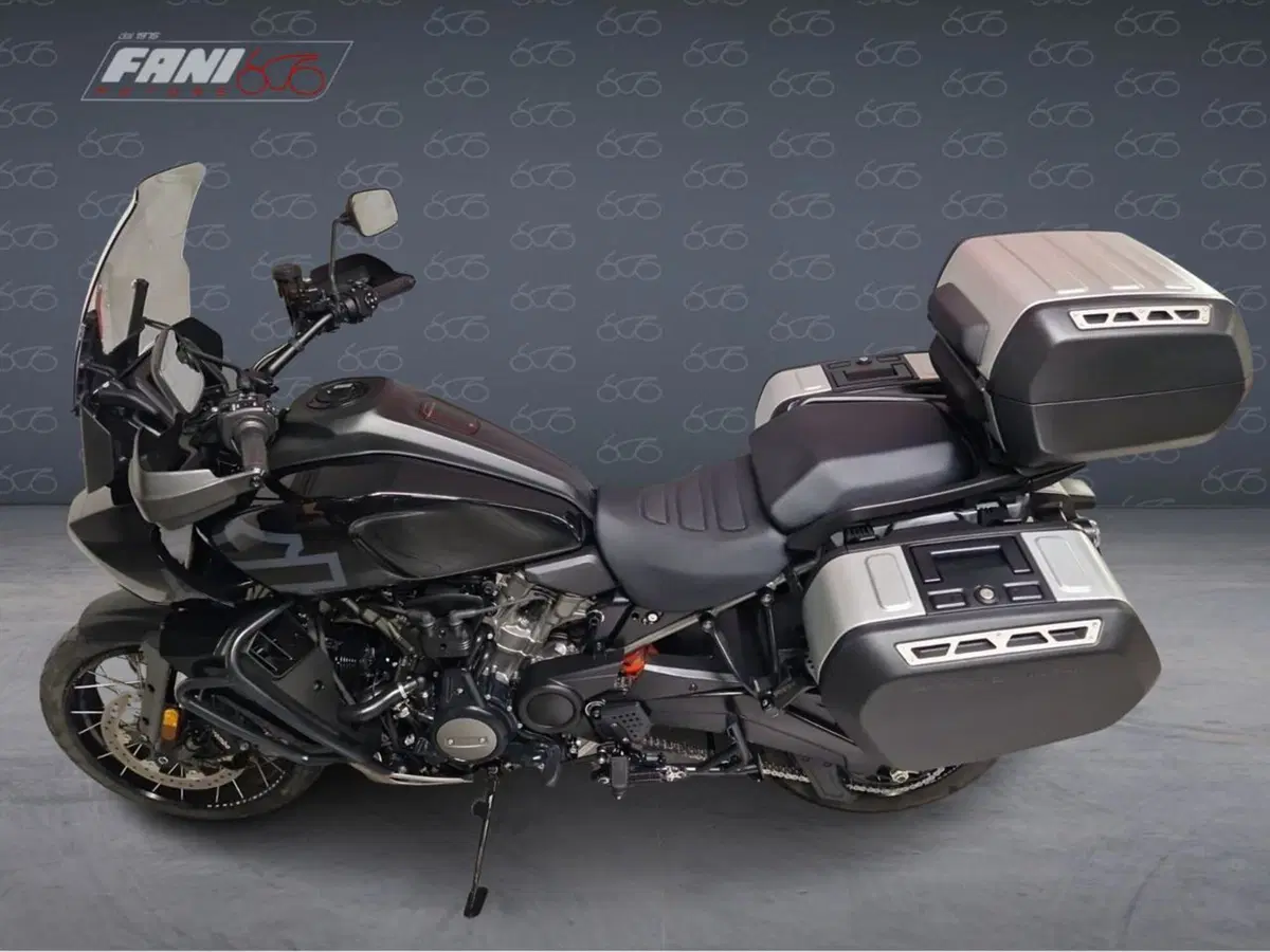Harley-Davidson Pan America 1250 Special (2020 - 25) (3)