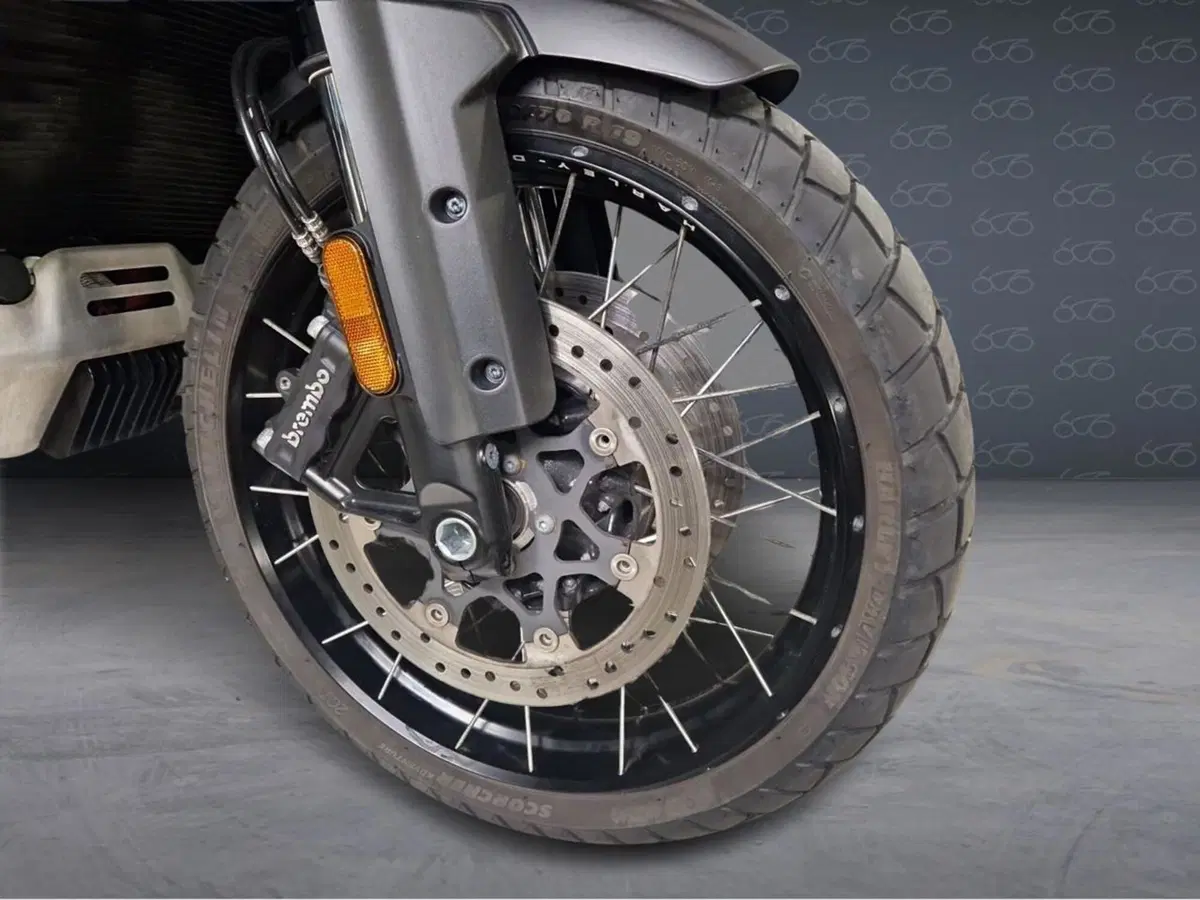 Harley-Davidson Pan America 1250 Special (2020 - 25) (5)