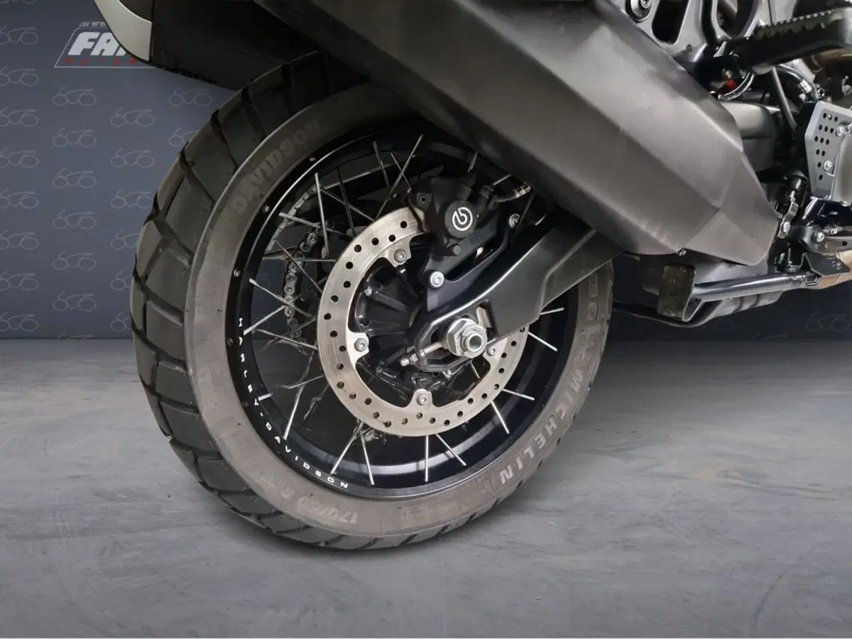 Harley-Davidson Pan America 1250 Special (2020 - 25) (6)