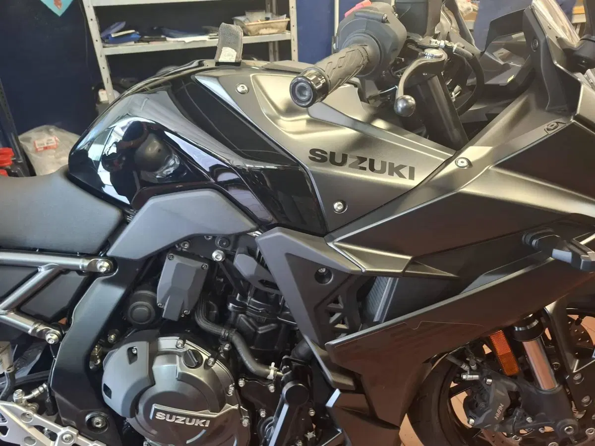 Suzuki GSX-8R (2024 - 26) (2)