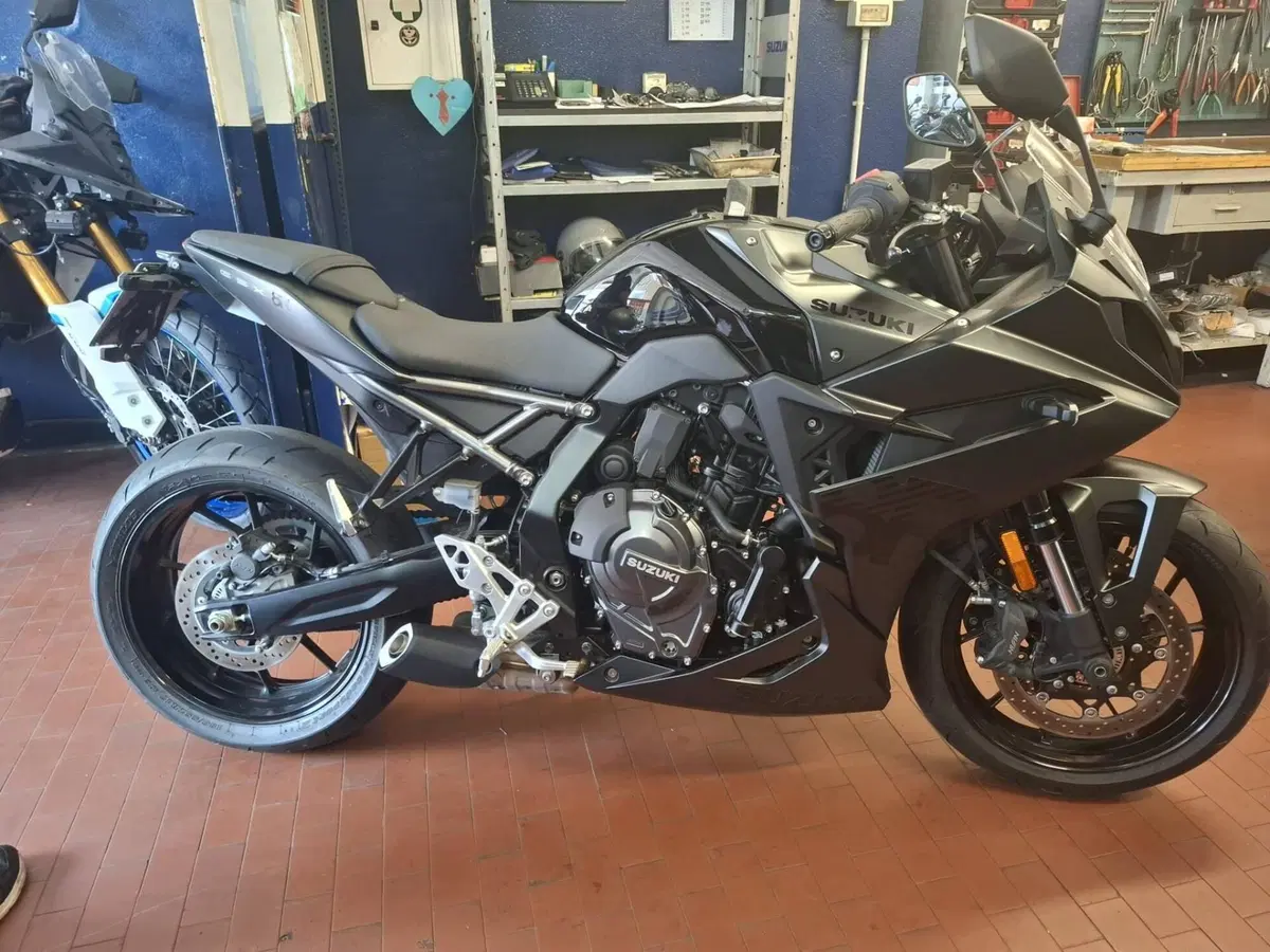Suzuki GSX-8R (2024 - 26) (3)