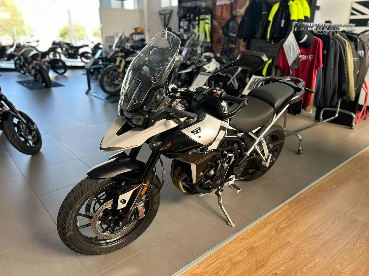 Triumph Tiger 900 GT Pro (2024 - 26) (4)