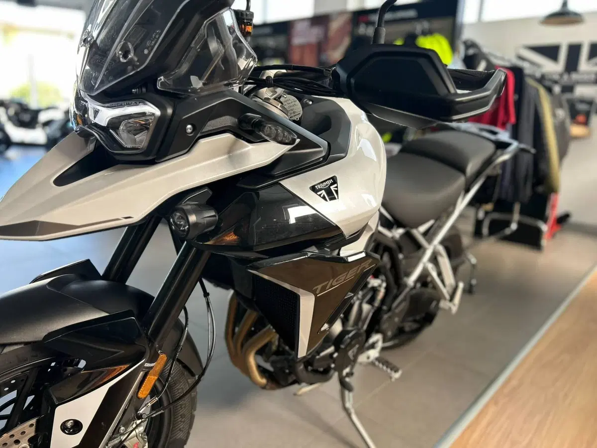 Triumph Tiger 900 GT Pro (2024 - 26) (6)