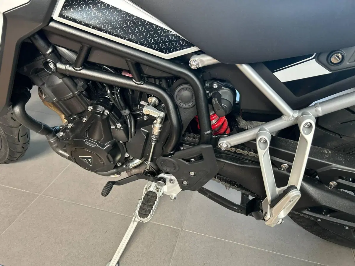 Triumph Tiger 900 GT Pro (2024 - 26) (7)