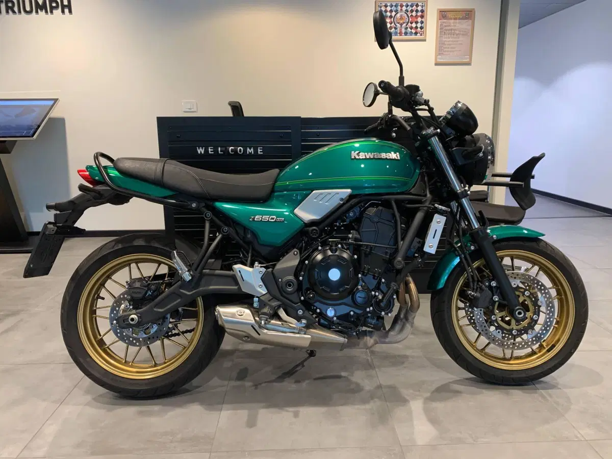 Kawasaki Z 650 RS (2022 - 24)