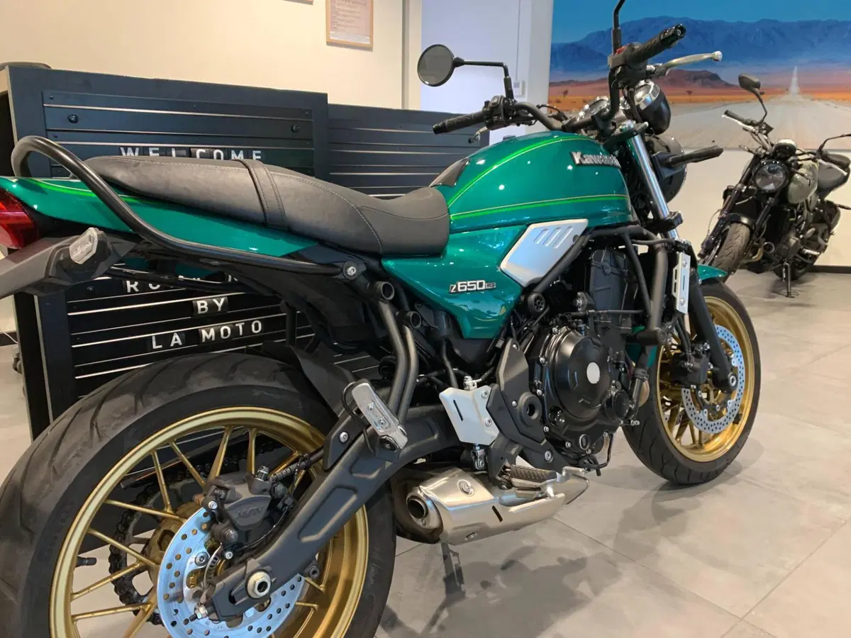 Kawasaki Z 650 RS (2022 - 24) (2)