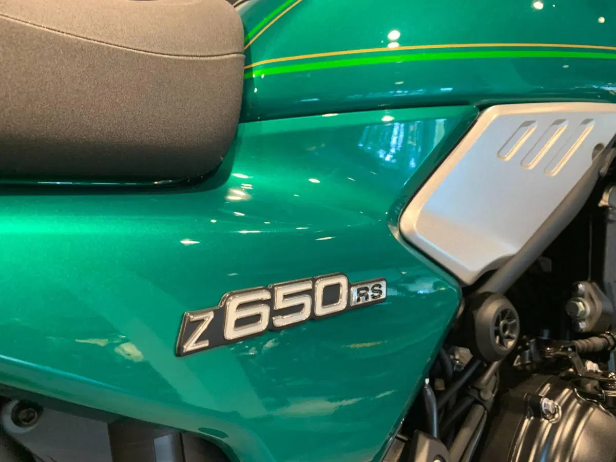 Kawasaki Z 650 RS (2022 - 24) (3)
