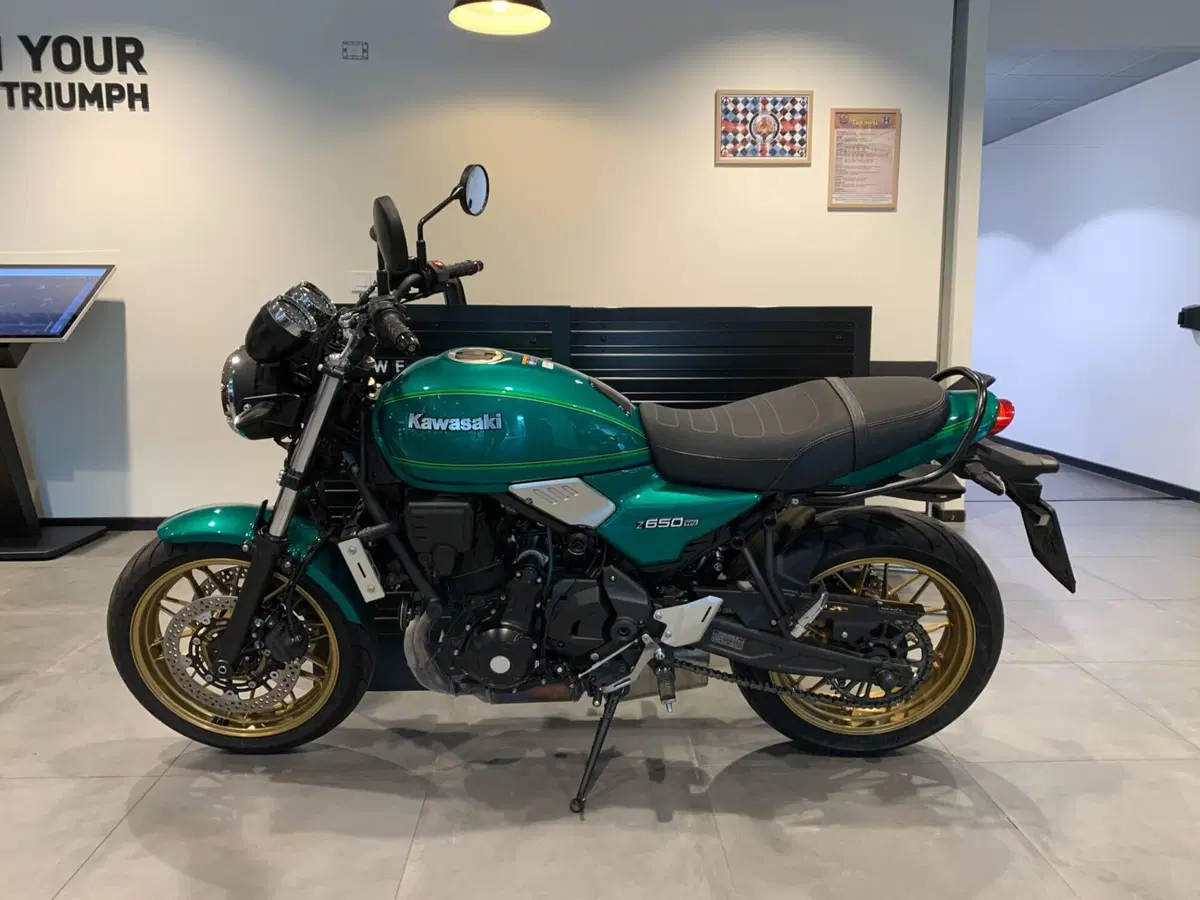 Kawasaki Z 650 RS (2022 - 24) (7)