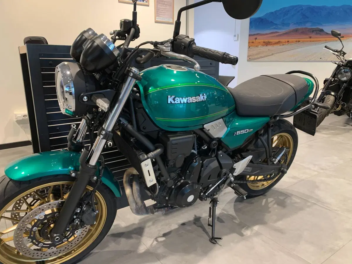 Kawasaki Z 650 RS (2022 - 24) (8)